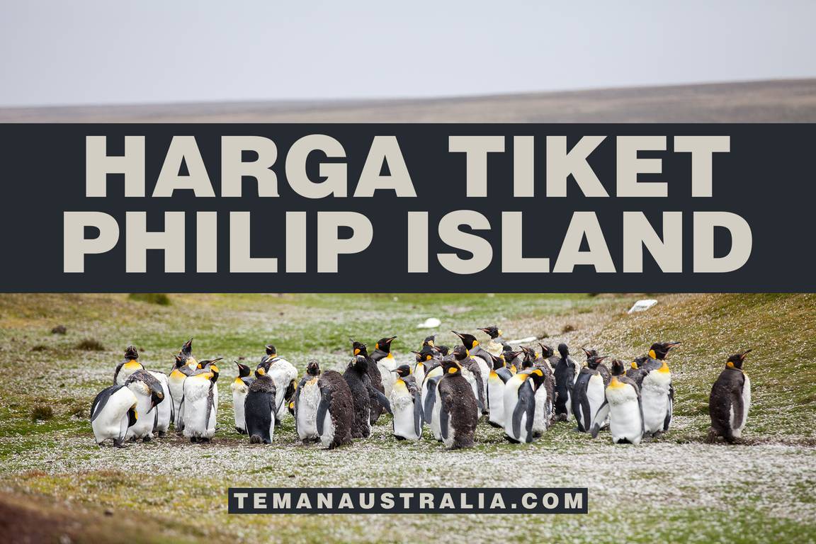 Harga Tiket Philip Island