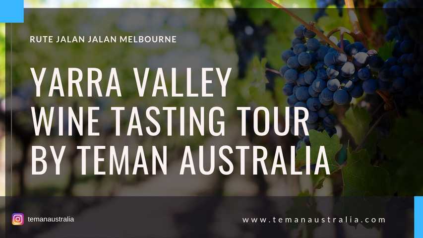Yarra Valley Wine Tasting